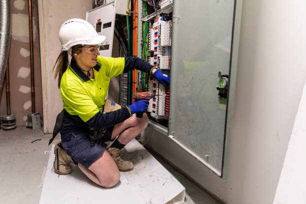 Best Electric Panel Repair  in West Ishpeng, MI