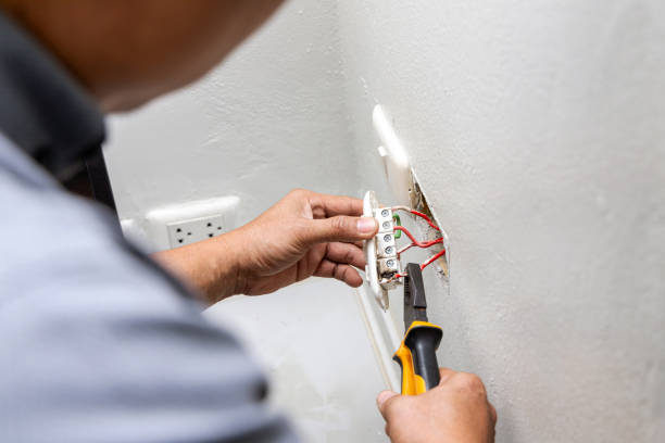 Best Local Electrician Companies  in West Ishpeng, MI